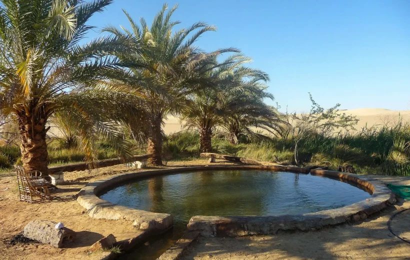Siwa Oasis Tour All inclusive 3 Days from Cairo